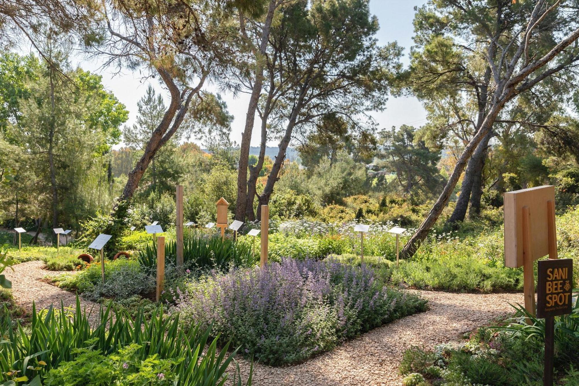 Porto Sani Otel Sani  Dış mekan fotoğraf